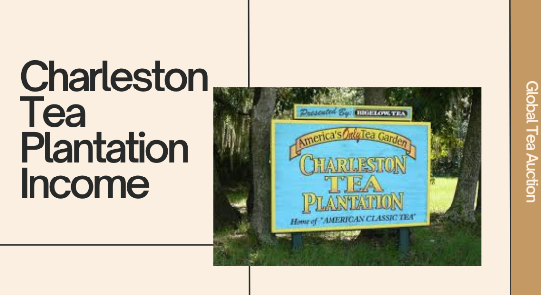 Charleston Tea Plantation Overview