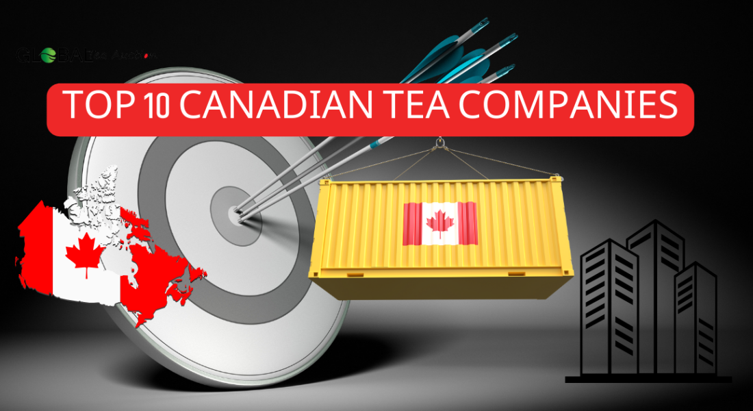 Top 10 Canadian Tea Companies: Quality, Tradition, and Innovation