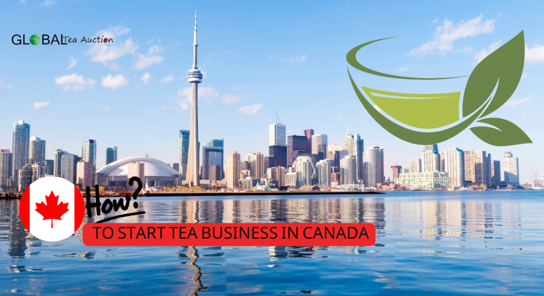 How to Start a Tea Business in Canada | Comprehensive Guide