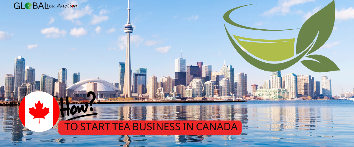 How to Start Tea Business in Canada