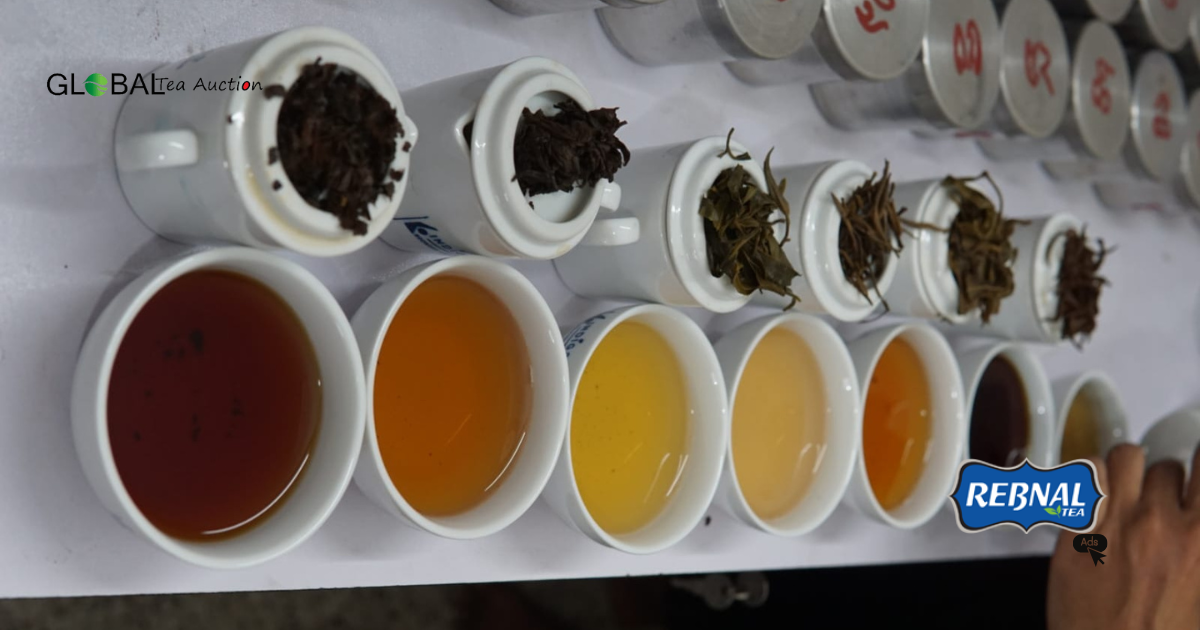 Tea Auction in Panchagarh