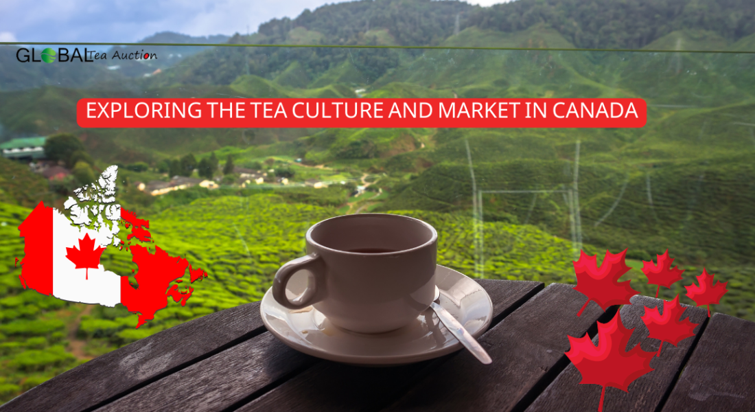 Exploring the Tea Culture and Market in Canada