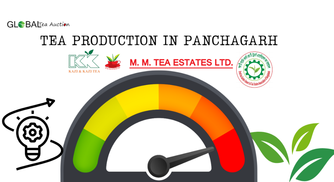 Tea Production in Panchagarh: Northern Frontier of Bangladesh Tea Industry