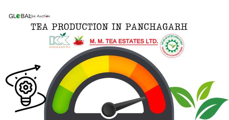 Tea Production in Panchagarh: Northern Frontier of Bangladesh Tea Industry